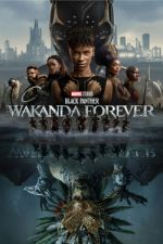 Watch Black Panther: Wakanda Forever 5movies