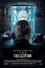 Watch The Collection 5movies