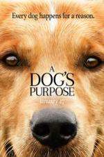 Watch A Dog's Purpose 5movies