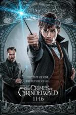 Watch Fantastic Beasts: The Crimes of Grindelwald 5movies