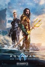 Aquaman and the Lost Kingdom 5movies