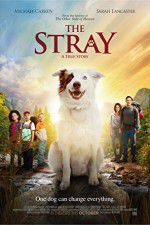 Watch The Stray 5movies