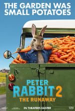 Watch Peter Rabbit 2: The Runaway 5movies