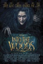 Watch Into the Woods 5movies