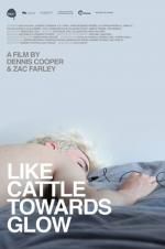 Watch Like Cattle Towards Glow 5movies