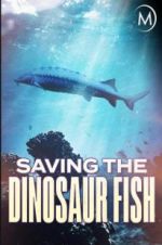 Watch Saving the Dinosaur Fish 5movies