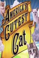 Watch America's Cutest Cat 5movies