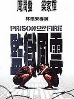 Watch Prison on Fire 5movies