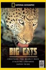 Watch National Geographic: Living With Big Cats 5movies