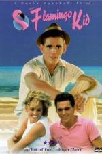 Watch The Flamingo Kid 5movies