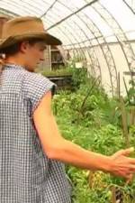 Watch Green House Seeds Strain Hunters India Expedition 5movies