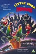 Watch Little Shop of Horrors 5movies