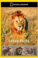 Watch National Geographic: Super Pride Africa\'s Largest Lion Pride 5movies