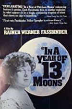 Watch In a Year with 13 Moons 5movies