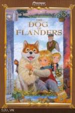 Watch The Dog of Flanders 5movies