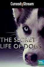 Watch Secret Life of Dogs 5movies