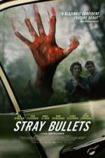 Watch Stray Bullets 5movies