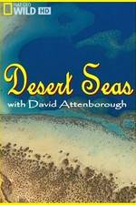 Watch Desert Seas 5movies