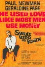 Watch Sweet Bird of Youth 5movies