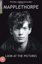 Watch Mapplethorpe: Look at the Pictures 5movies