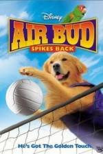 Watch Air Bud Spikes Back 5movies