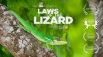 Watch Laws of the Lizard 5movies