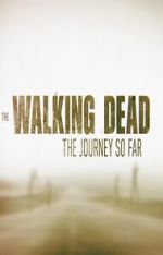 Watch The Walking Dead: The Journey So Far 5movies