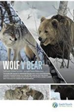 Watch Wolf vs Bear 5movies