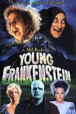 Watch Young Frankenstein 5movies