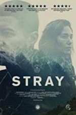 Watch Stray 5movies