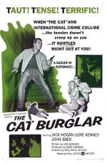 Watch The Cat Burglar 5movies