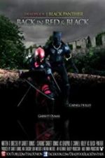 Watch Deadpool and the Black Panther 5movies