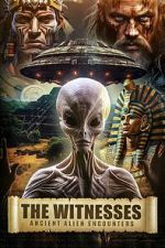 Watch The Witnesses: Ancient Alien Encounters 5movies