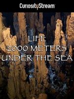 Watch Life 2,000 Meters Under the Sea 5movies