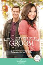 Watch The Convenient Groom 5movies