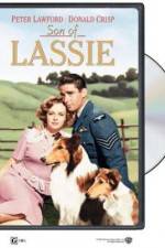 Watch Son of Lassie 5movies