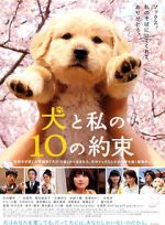 Watch 10 Promises to My Dog 5movies