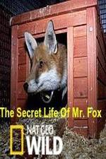 Watch The Secret Life of Mr. Fox 5movies