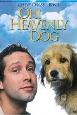 Watch Oh Heavenly Dog 5movies