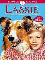 Watch Lassie: A New Beginning 5movies