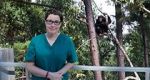 Watch Sue Perkins and the Chimp Sanctuary 5movies