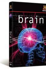 Watch The Brain 5movies