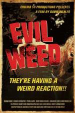 Watch Evil Weed 5movies