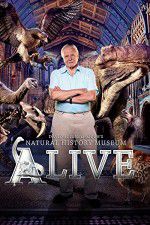 Watch David Attenborough\'s Natural History Museum Alive 5movies