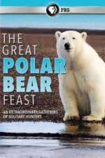 Watch The Great Polar Bear Feast 5movies