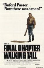 Watch Final Chapter: Walking Tall 5movies