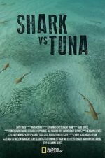 Watch Shark vs Tuna 5movies