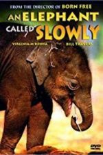 Watch An Elephant Called Slowly 5movies