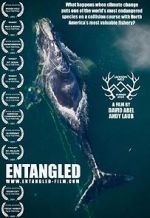 Watch Entangled: The Race to Save Right Whales from Extinction 5movies