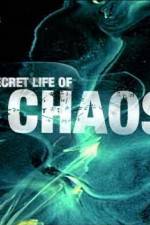 Watch The Secret Life of Chaos 5movies